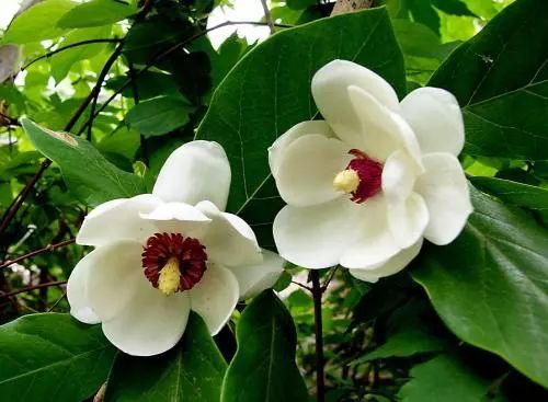 充电10分钟，水嫩一整天！这盒澳洲“断货王”面膜也太好用了吧！