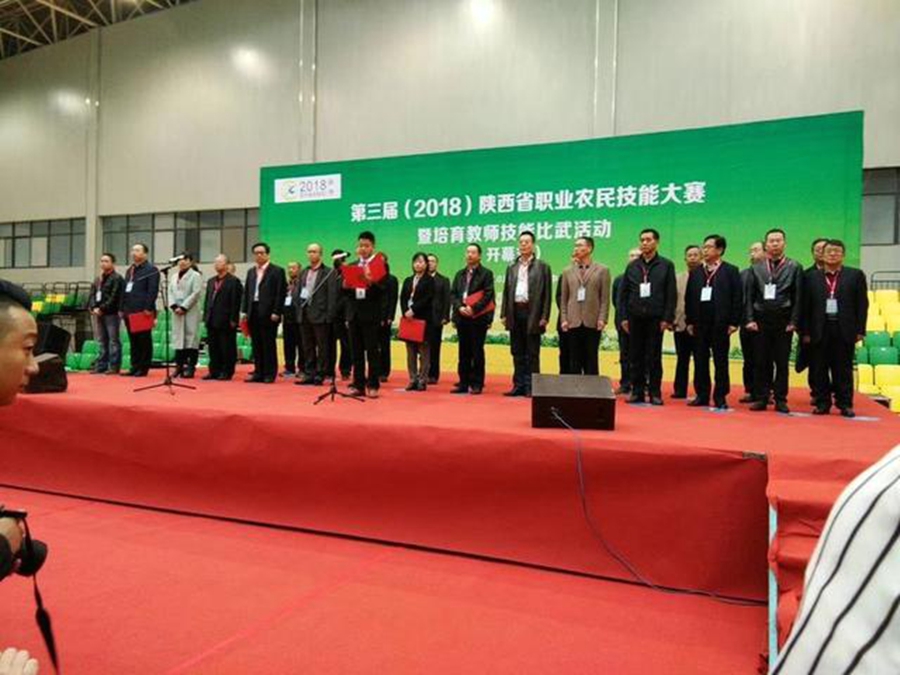 渭南新闻2019年12月20日,渭南新闻10月24日