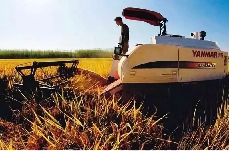 生鲜电商难盈利,悲哀电商