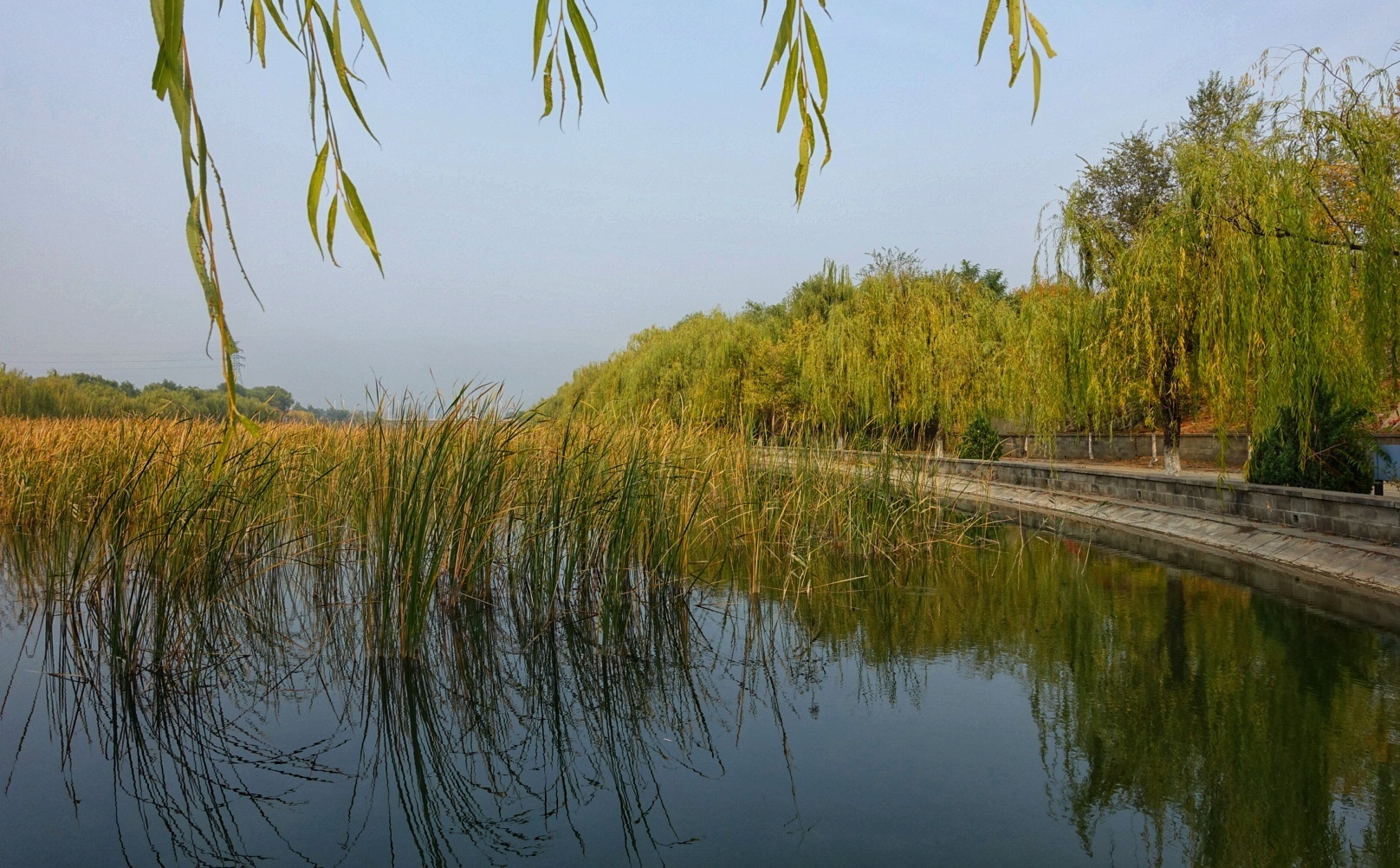 北京昌平金秋风景,昌平金秋周边一日游最佳攻略