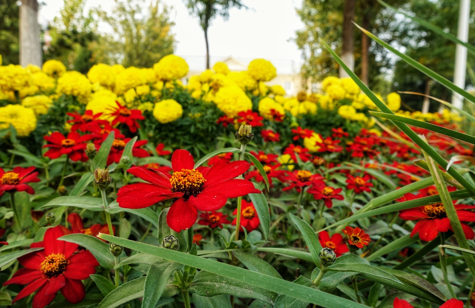 北京昌平金秋风景,昌平金秋周边一日游最佳攻略