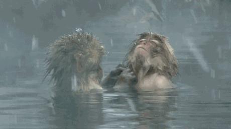 成都花水湾旅游攻略一日游,花水湾西岭雪山二日游