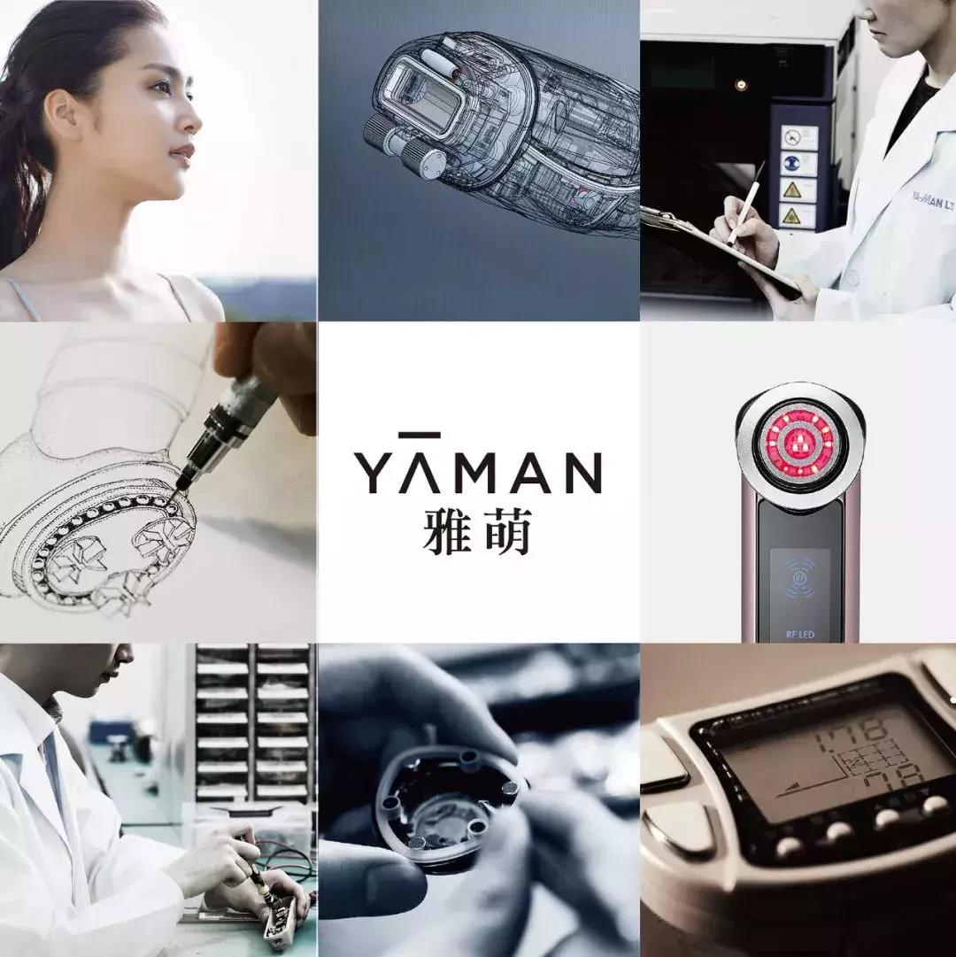 职场小白会如何被欺负,从被欺负的大学生到老总