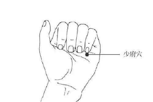 头晕心悸的中药处方,心慌心悸按揉哪个穴位缓解