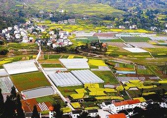 村干部退出办法,村干部一般都有哪些问题