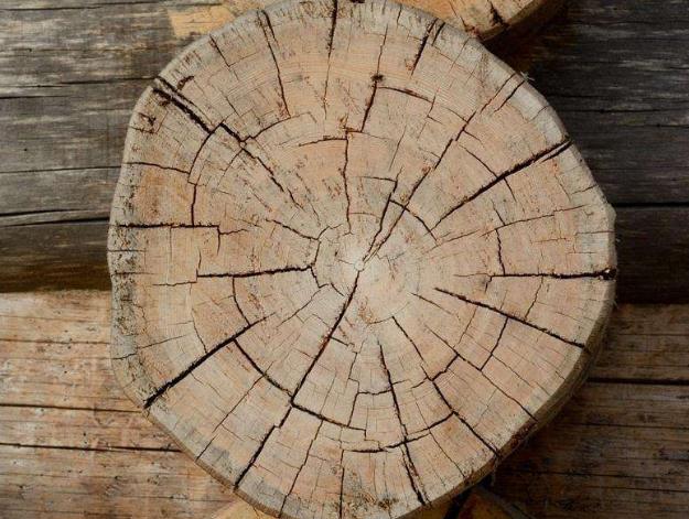 哪种木材便宜又不容易开裂,防水胶可以防止木材开裂吗