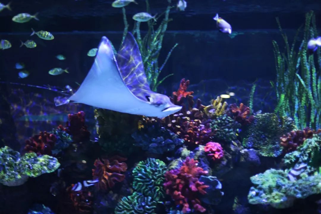 没有人来人往的城市,没有人山人海的地方