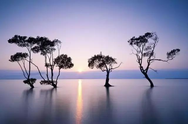 井底的驴的故事告诉我们什么启发,井中的驴子故事启发