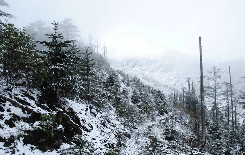 百慕大黑竹沟未解之谜,指南针失效