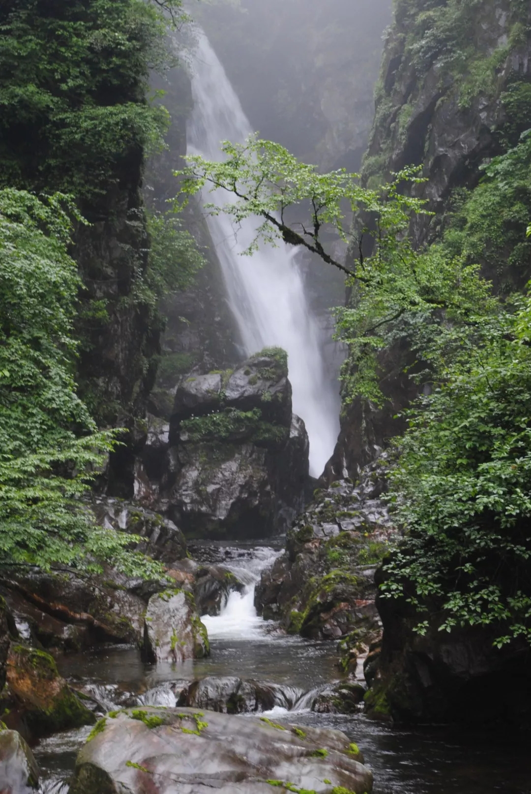 百慕大黑竹沟未解之谜,指南针失效