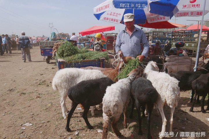 令人大开眼界的车,喀什牛羊大巴扎有意思吗