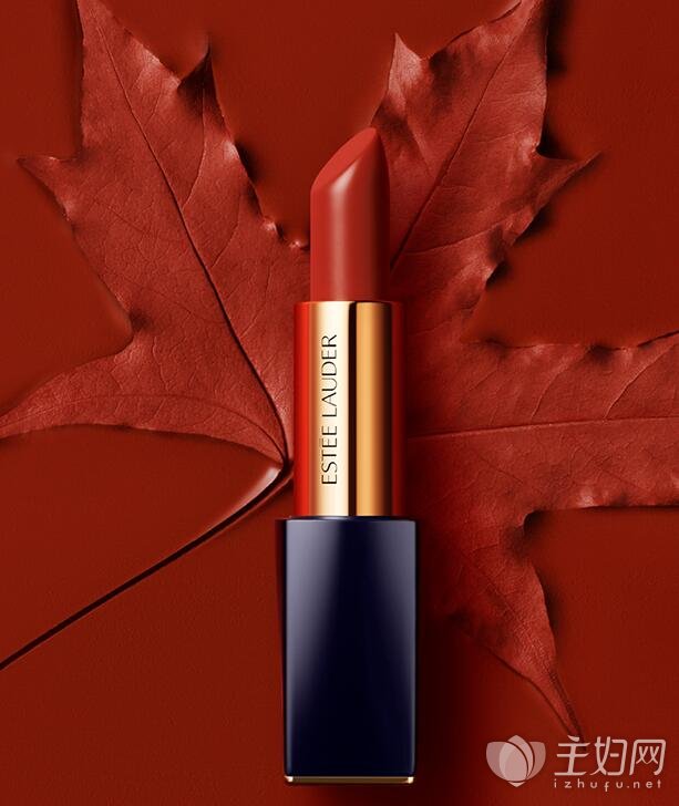 秋冬流行口红干枫叶色你值得拥有女人无法割舍的色号