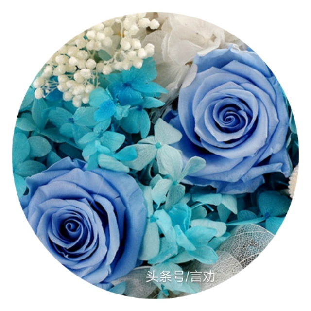 做个真正的蓝颜知己,讲解蓝颜知己