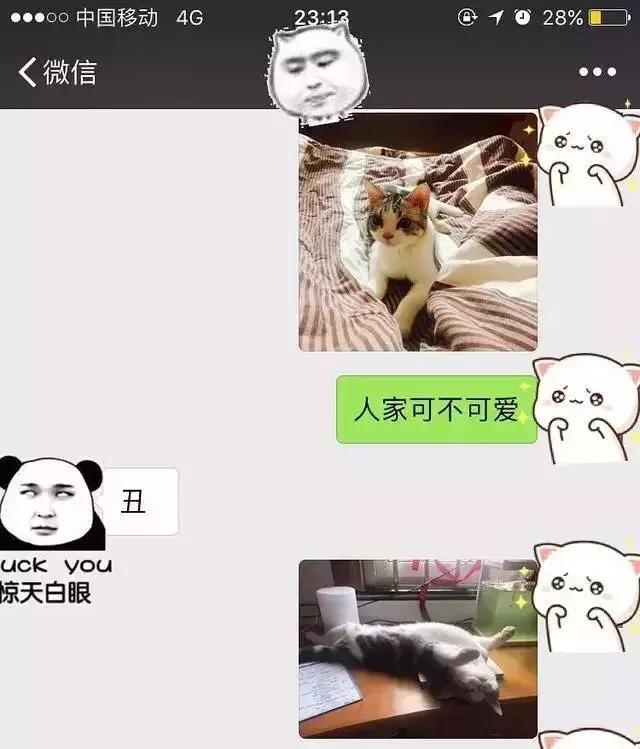 给猫咪打出脑震荡,男朋友把猫打死了