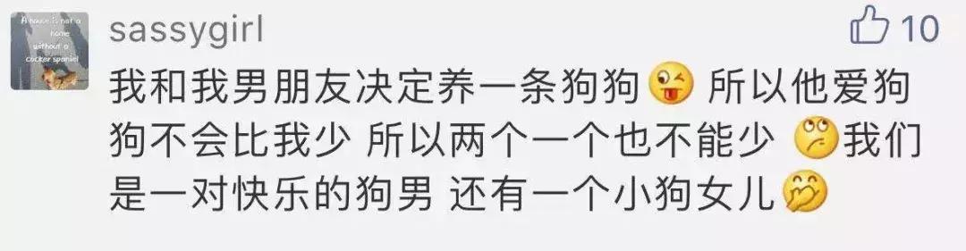 给猫咪打出脑震荡,男朋友把猫打死了