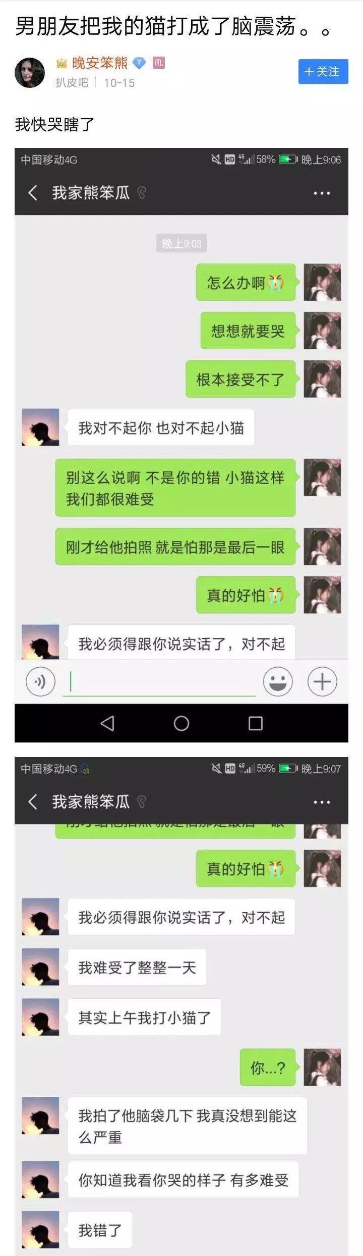 给猫咪打出脑震荡,男朋友把猫打死了