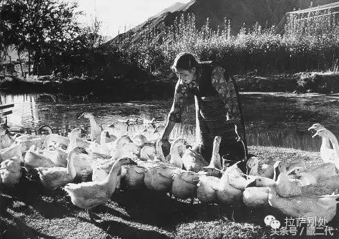 老*藏西**：真实的记录时间的重量