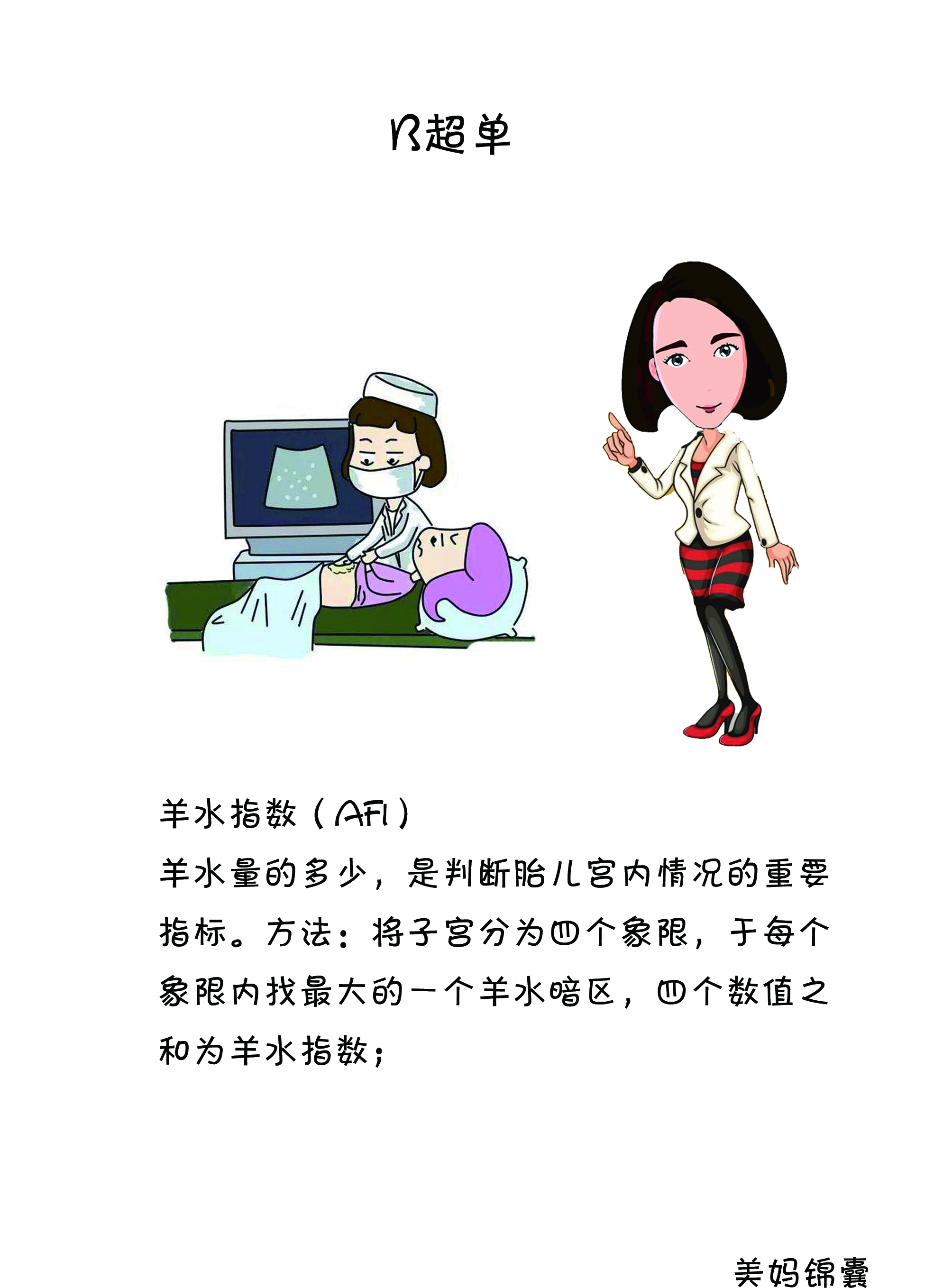 如何看b超单双肾图像,如何看b超单图像是圆形还是长形