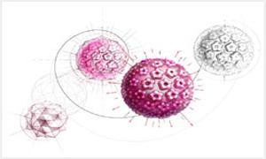 hpv和tct怎么看报告,宫颈hpvtct检查报告单