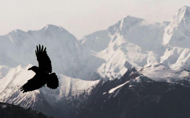 代购出问题了怎么解决,代购最怕的5个问题