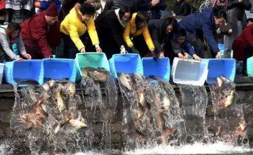 放生1瓶矿泉水，解救八万四千虫？矿泉水厂：你家水里才有虫！