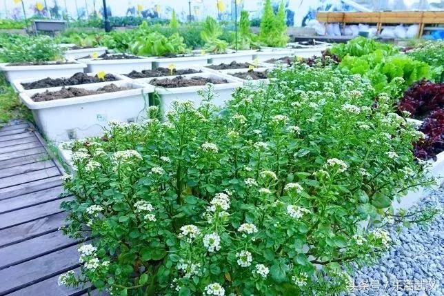 赛车场卡丁车武汉,赛车卡丁车武汉