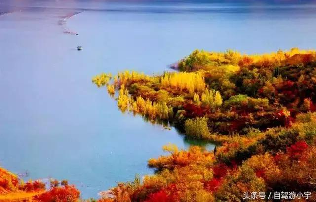 河南省赏红叶一日游,河南省秋天红叶最佳去处