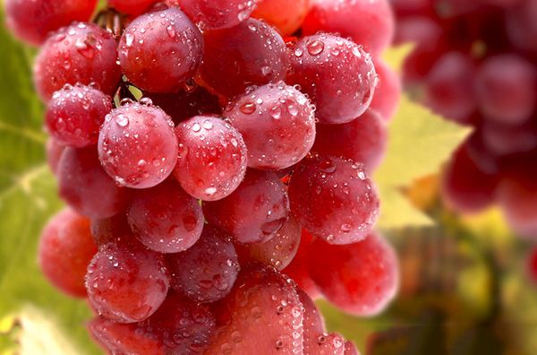 红提被称为“葡萄之王”，但医生再三叮嘱：2类人一口都不能多碰