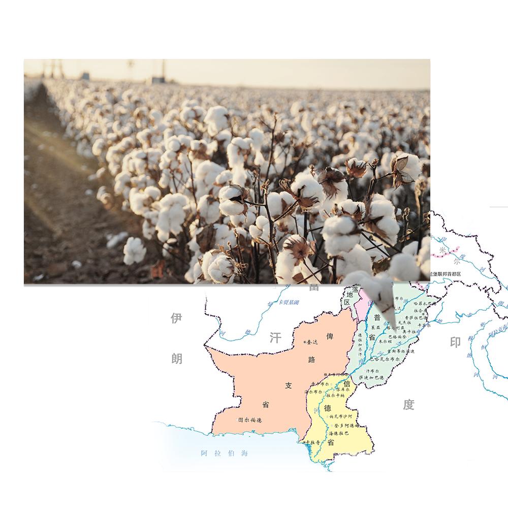 宝贝出行首选,天猫双11,babycare腰凳背带、推车必抢攻略!