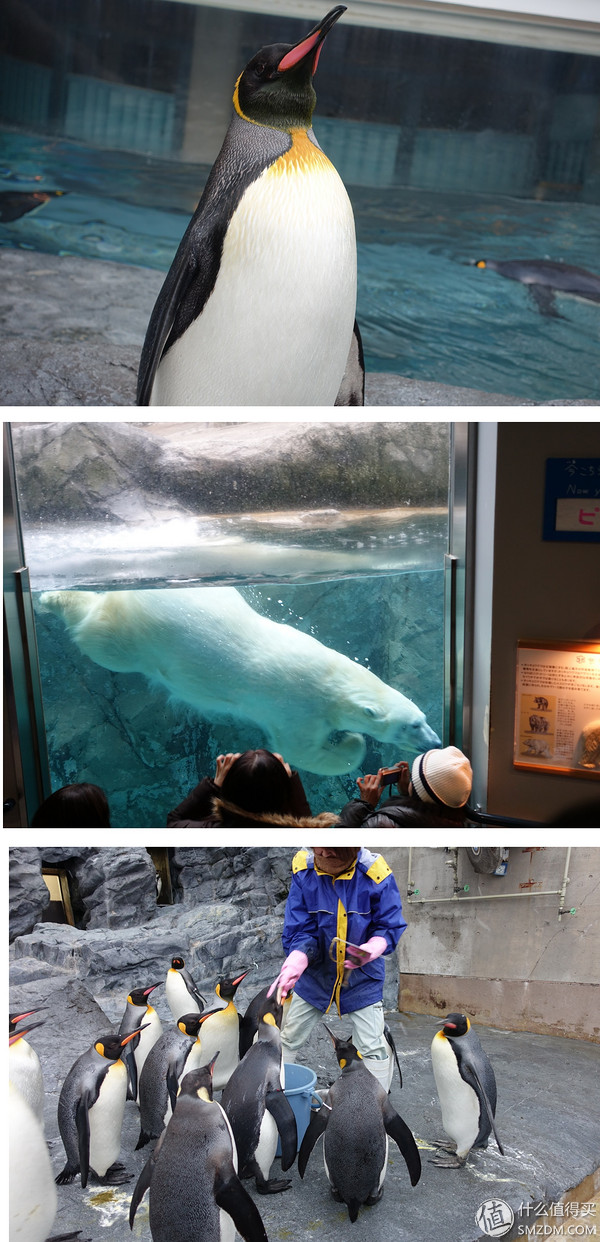 日本旅游签证流水账单,日本旅游要看账户流水不