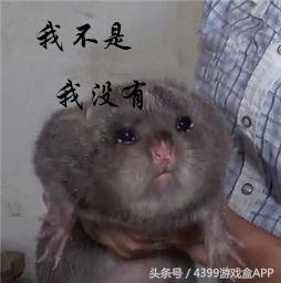 手游《竹鼠！活下去》试玩体验，头铁活到了83关了，还结婚了