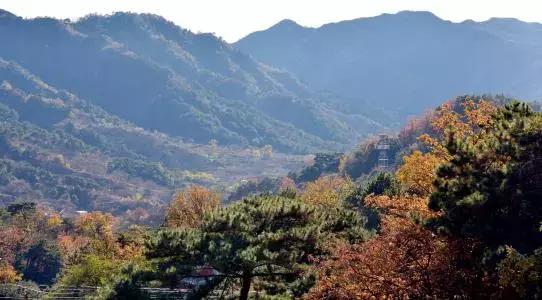 幼儿园秋游活动方案,幼儿园秋游活动准备通知