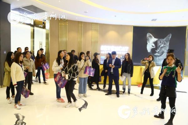 贵州云上方舟,贵州云上方舟智慧商业体