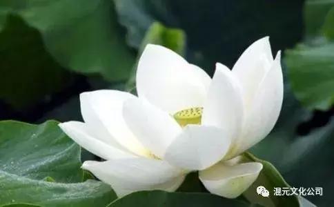 补充元气最好的运动方法,补充元气最好的方法是什么