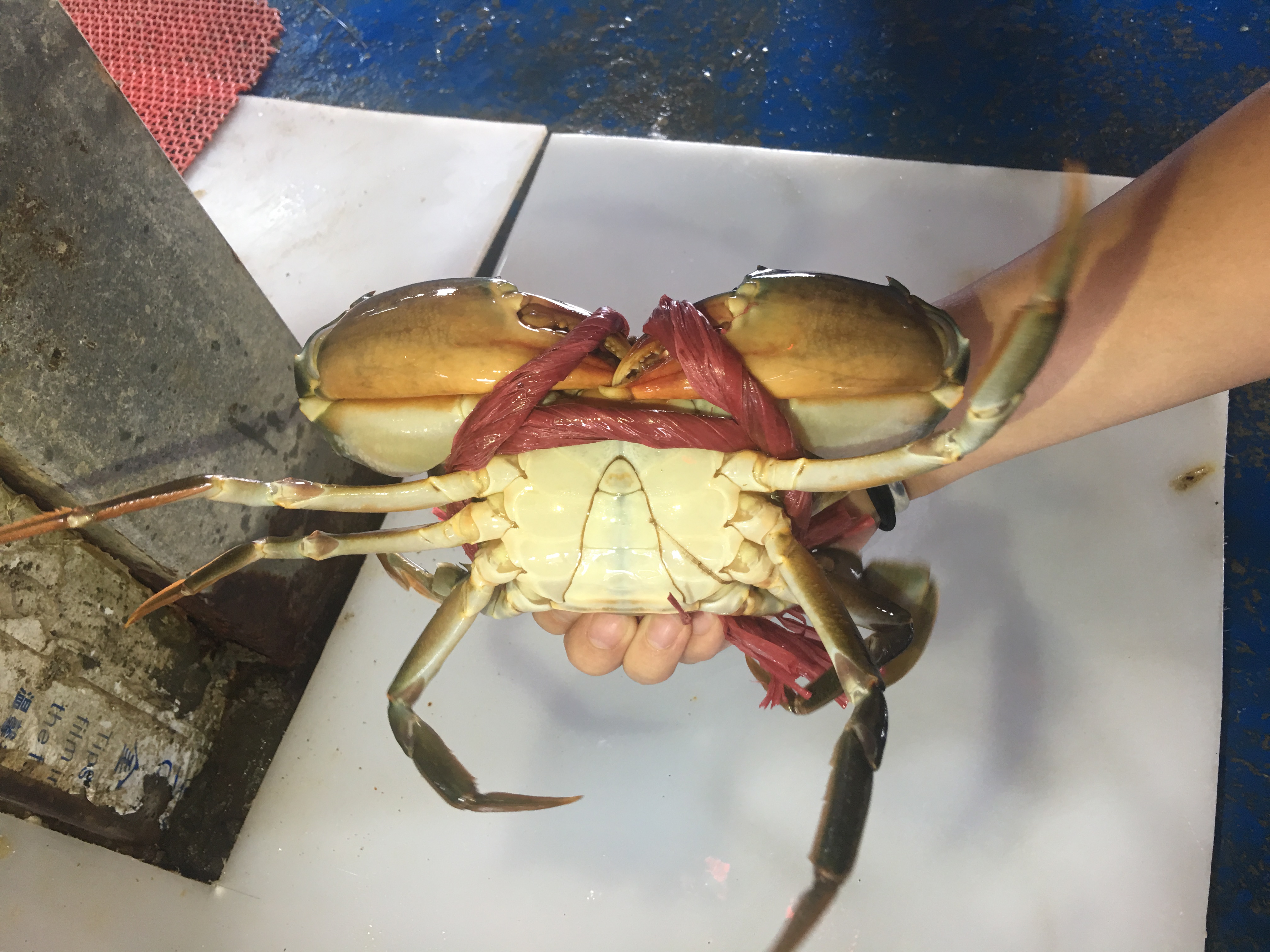 南宁海鲜批发市场一手货源在哪里,南宁海鲜市场性价比高的海鲜