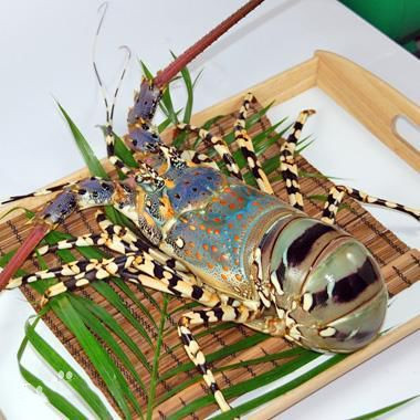 南宁海鲜批发市场一手货源在哪里,南宁海鲜市场性价比高的海鲜