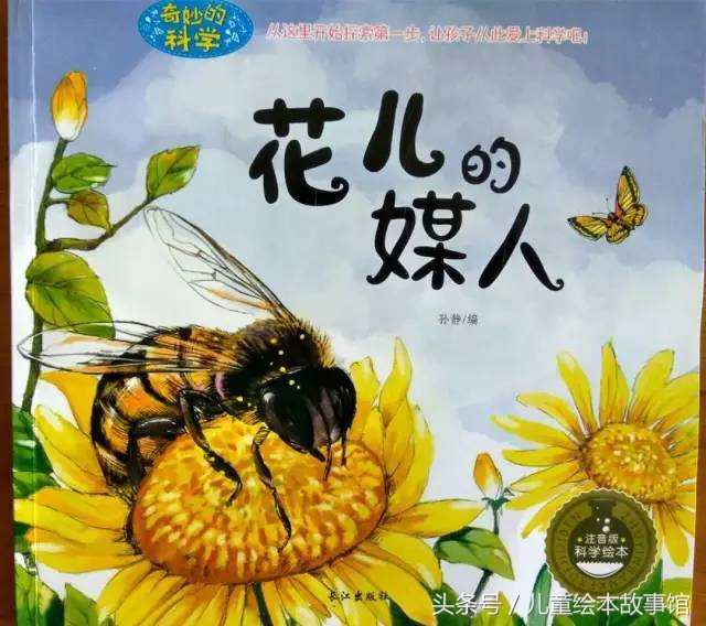 儿童绘本故事美丽的风景,花儿的故事绘本