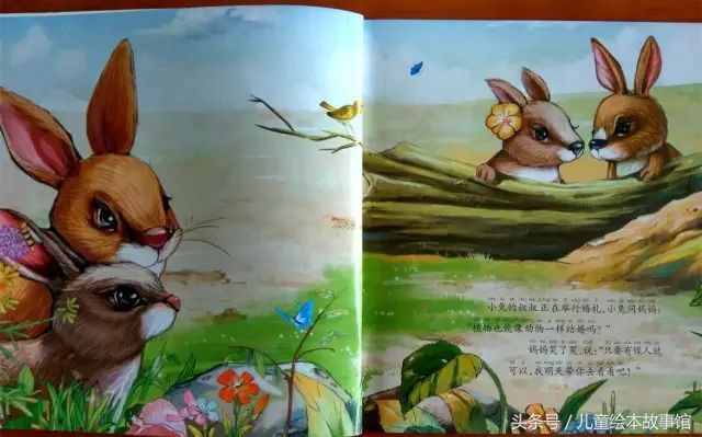 儿童绘本故事美丽的风景,花儿的故事绘本