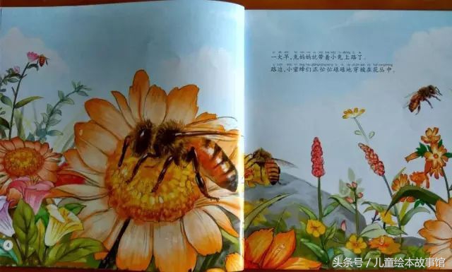 儿童绘本故事美丽的风景,花儿的故事绘本