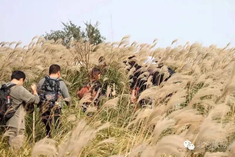 北仑适合夏天爬的山,北仑冬季爬山的地方有哪些