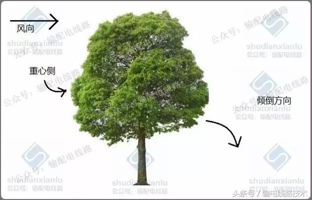 线路树障清理施工方案,电力线路树障清理属于什么行业