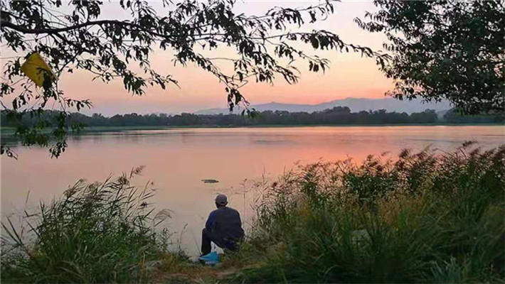 怎么解决手竿浮钓鲢鳙走水的问题,手竿钓鲢鳙技巧也就一招