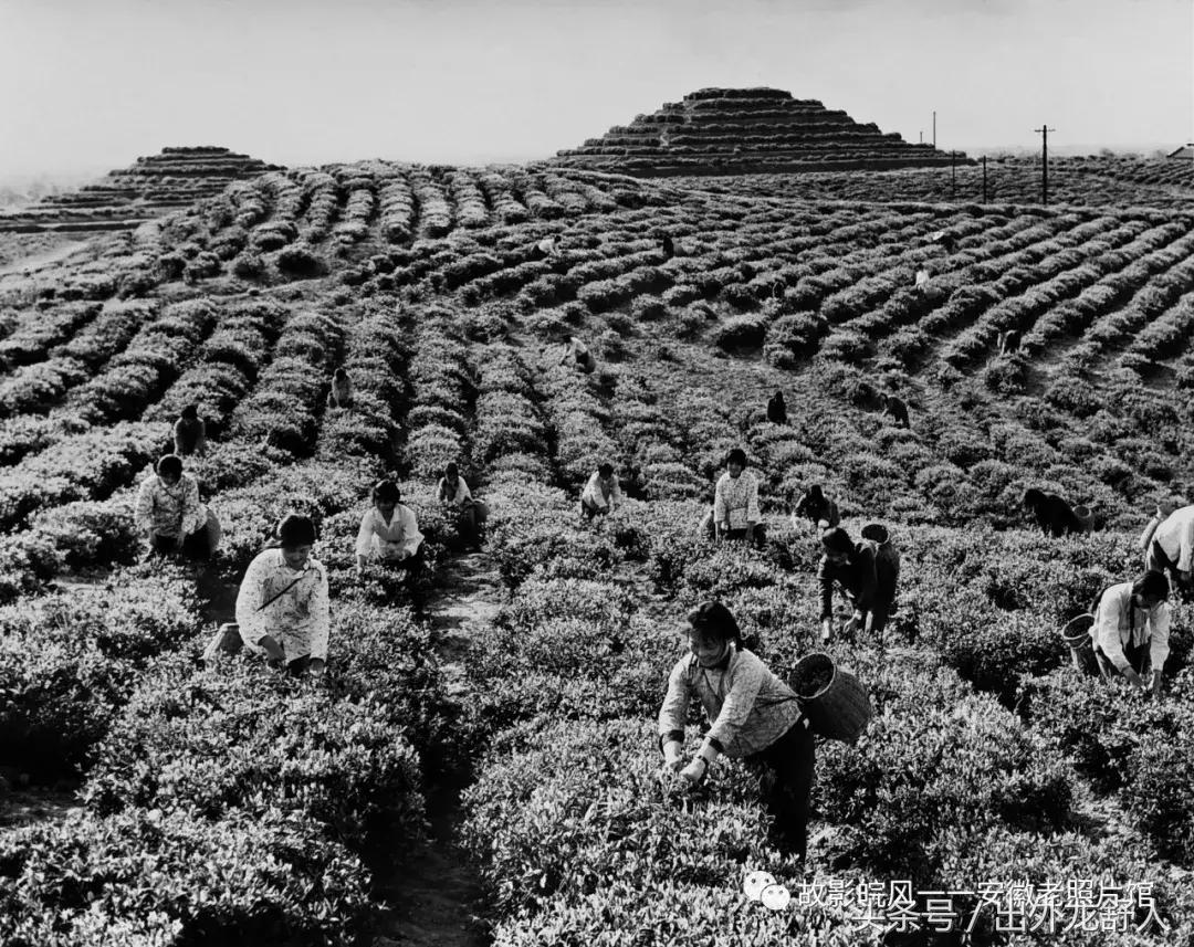 光“徽”岁月——影像见证安徽40年（一）