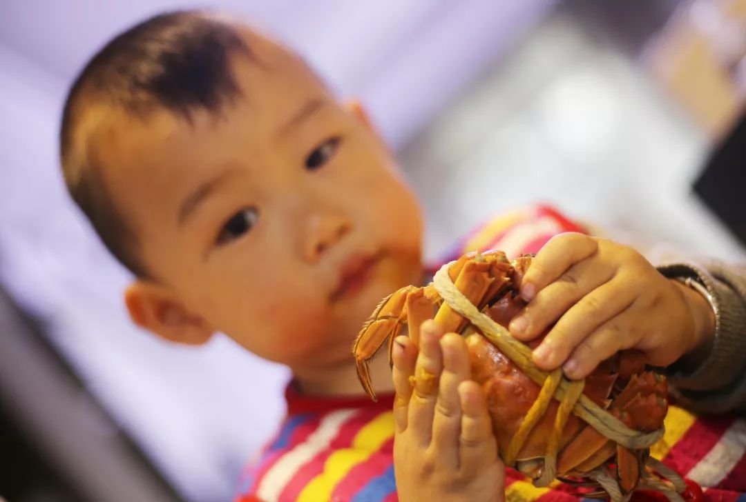 品尝清蒸大闸蟹公蟹和母蟹,清蒸大闸蟹前蟹需要处理吗