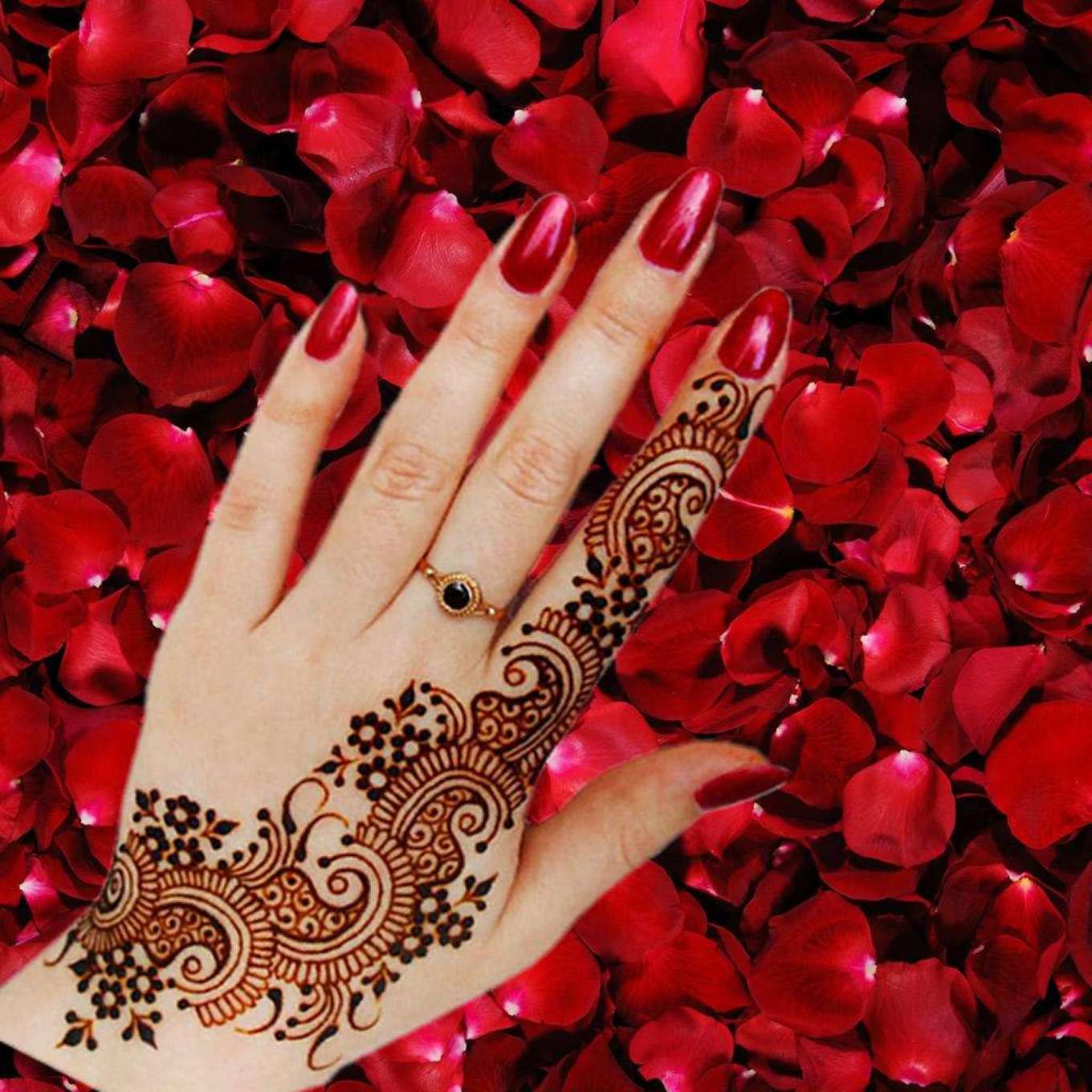 2万元旅游攻略,2万元国内旅游攻略