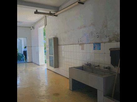 淄博十七中上学,在淄博上大学真实感受