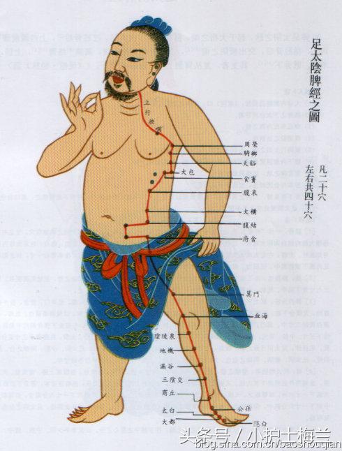任督二脉功法图,真气打通任督二脉图解
