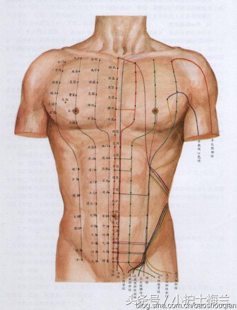 任督二脉功法图,真气打通任督二脉图解