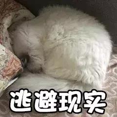 纹身那么疼为什么要纹,纹身那么痛为什么有些人能忍