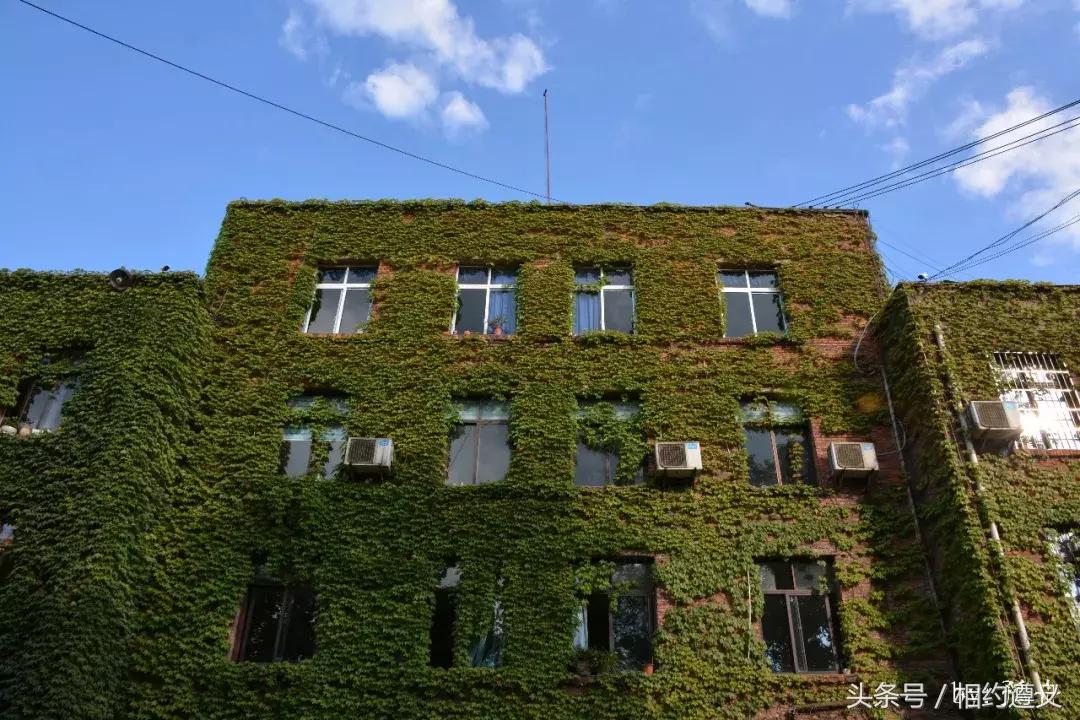 遵义八七厂的照片,遵义八七厂做什么的